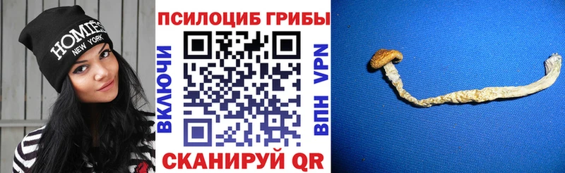 Псилоцибиновые грибы мухоморы  купить   Энем 